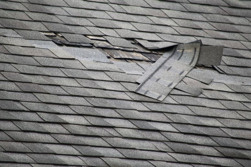 Asphalt Roof Leak Repair in Franklin, MI