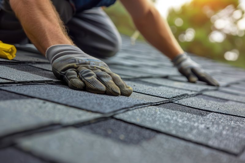 Asphalt Roof Leak Repair in Lapeer County, MI