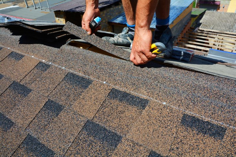 Asphalt Roof Repair in Fraser, MI