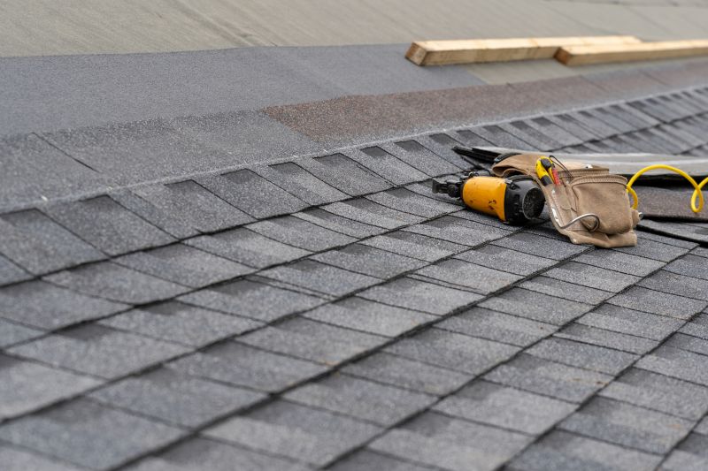 Asphalt Roof Repair in Macomb, MI