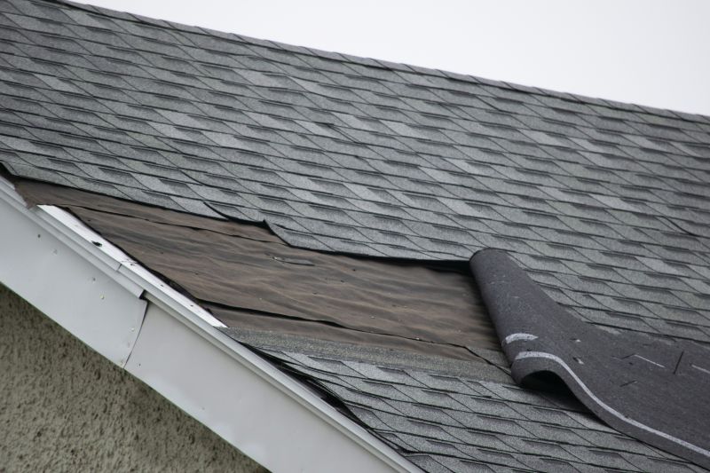 Asphalt Shingles Repair in Royal Oak, MI