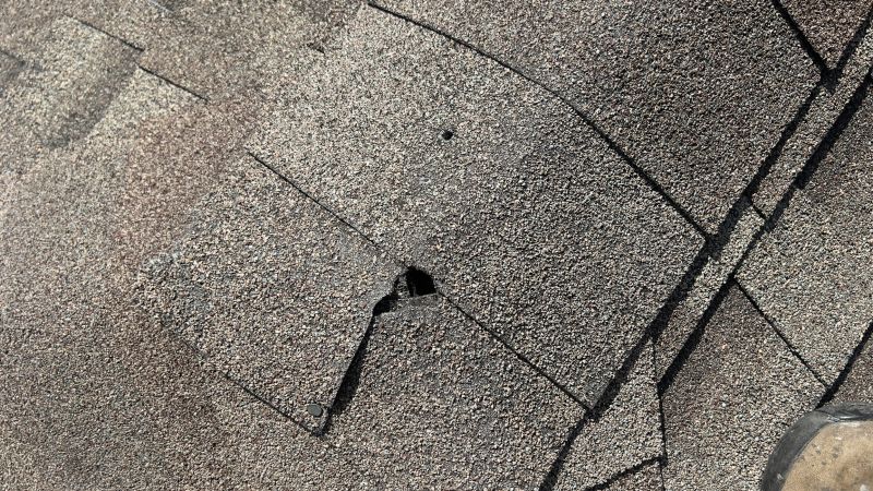 Damaged Roof Repair in Lake Orion, MI