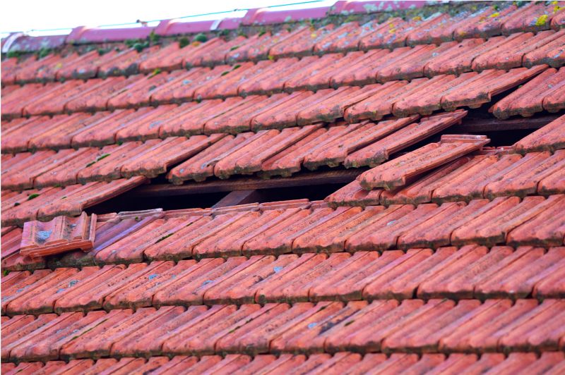 Damaged Roof Replacement in Dryden, MI