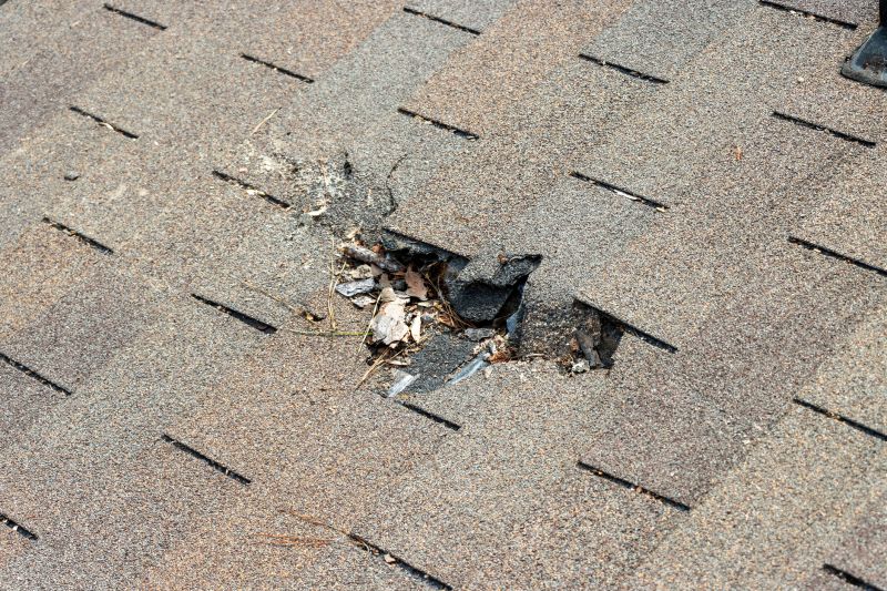 Damaged Roof Replacement in Lake Orion, MI