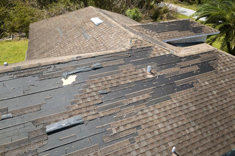 Hail Damage Roof Repair in Ortonville, MI