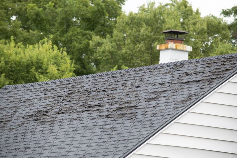 Roof Hail Damage Repair in Lake Orion, MI