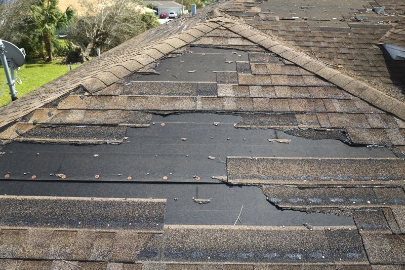 Roof Hail Damage Repair in Lake Orion, MI