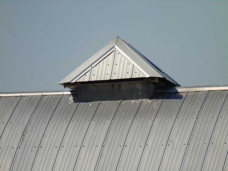 Tin Roof Installation in Walled Lake, MI